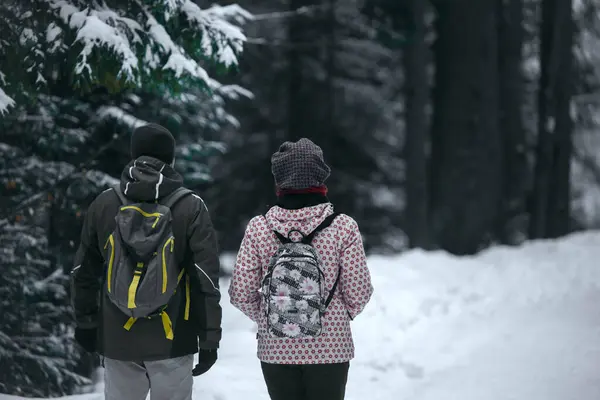 一对夫妇在被雪覆盖的森林中散步的后视镜 — 图库照片