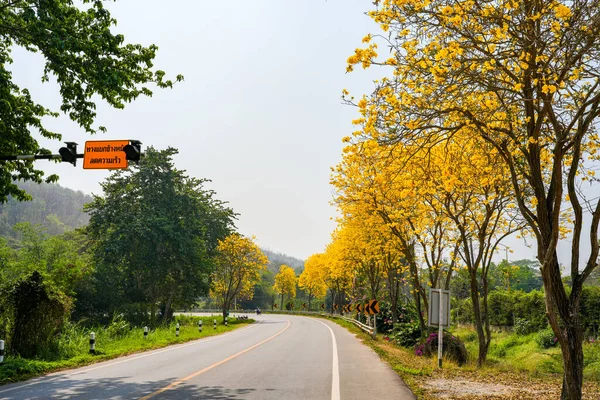 Uma Estrada Aberta Com Sinais Cercados Árvores Exuberantes Coloridas — Fotografia de Stock