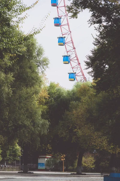 Une Belle Vue Sur Parc Arboré Une Grande Roue Par — Photo