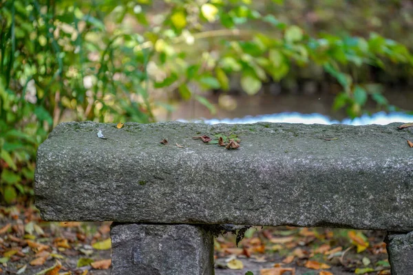 背景にぼやけた公園の石のベンチのクローズアップショット — ストック写真