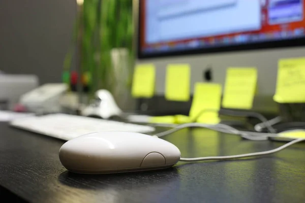 Een Selectieve Focus Shot Van Een Witte Muis Een Bureau — Stockfoto