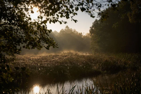Sabahın Erken Saatlerinde Güzel Bir Gölet Manzarası — Stok fotoğraf