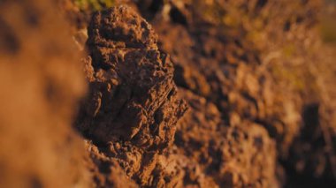 Cezayir, Wahran 'da parlak güneş ışığı altında kayaların yakın çekimi.