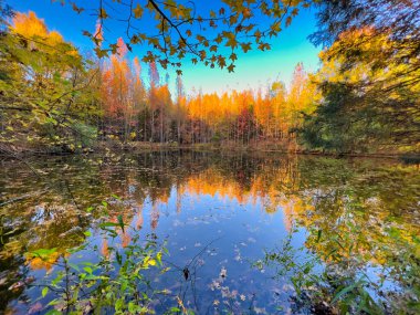 A lake surrounded by colorful trees and mossy rocks in the forest
