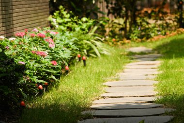 Yeşil bahçe bitkilerinden geçen taş patika.