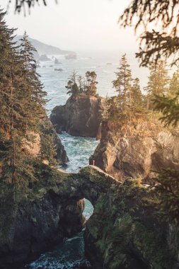 Samuel H. Boardman 'ın Doğa Köprüsü' nün hava görüntüsü günbatımında dikey olarak ağaçlarla kaplıydı.