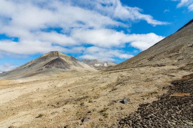 Alaska 'daki Katmai Ulusal Parkı' nda on bin sigaralık ünlü vadi.      