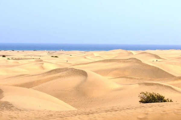 Een Oranje Zandwoestijn Het Eiland Gran Canaria Spanje — Stockfoto