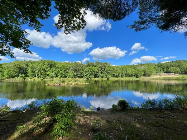 Uma Vista Floresta Reflexão Sobre Lago — Fotografia de Stock