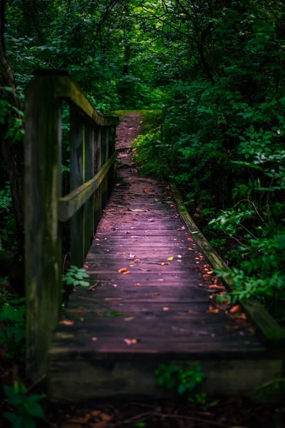 Vertikální Záběr Dřevěného Mostu Uprostřed Tmavozeleného Lesa — Stock fotografie