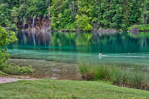 Hisnande Utsikt Över Ett Vattenfall Plitvicesjöarnas Nationalpark Kroatien — Stockfoto