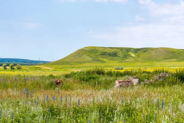 Rustiek Zomerlandschap Met Groene Landbouwweiden Een Heuvel Een Autoweg Tegen — Stockfoto