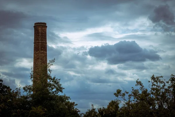 Een Oude Bakstenen Fabrieksschoorsteen Een Bos Met Een Bewolkte Achtergrond — Stockfoto
