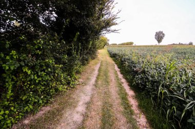Kuzey İtalya 'da Kirli Yol Tarlalardan Geçiyor