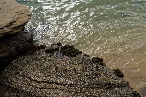 Высокоугольный Снимок Синего Моря Скалистом Пляже Покрытом Зеленым Мхом — стоковое фото