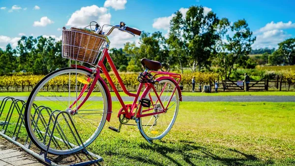 Bicicleta Roja Vintage Parque Verano —  Fotos de Stock