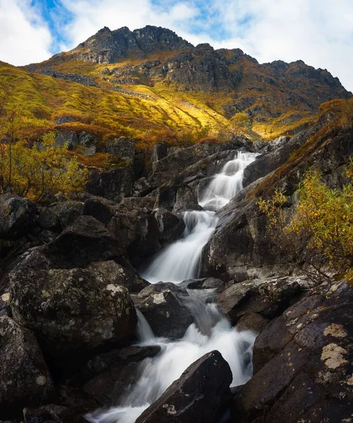 Coup Vertical Petit Ruisseau Qui Coule Dans Montagne Rocheuse — Photo