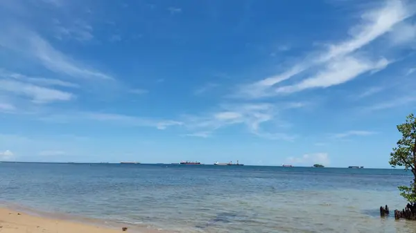 Vista Panorâmica Costa Arenosa Mar Azul Navios Horizonte Troncos Árvores — Fotografia de Stock