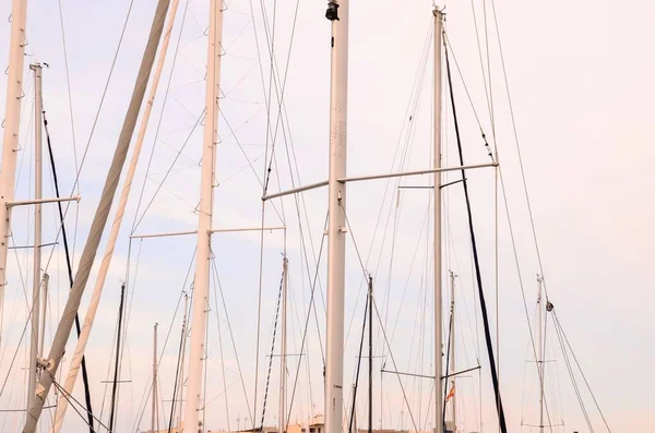 Silhuett Masts Sail Yacht Marin — Stockfoto