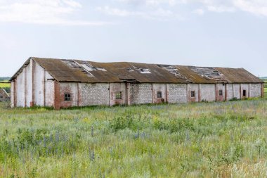 Eski harap olmuş tarım binası. Mavi yaz gökyüzüne karşı yeşil çayır üzerinde sığırlar için tuğla çiftlik..