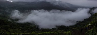 Yoğun bir ormanın bulutlarla kaplı panoramik bir görüntüsü.