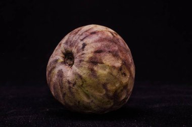 Taze yeşil ve kahverengi olgun Cherimoya Tropikal Meyvesi