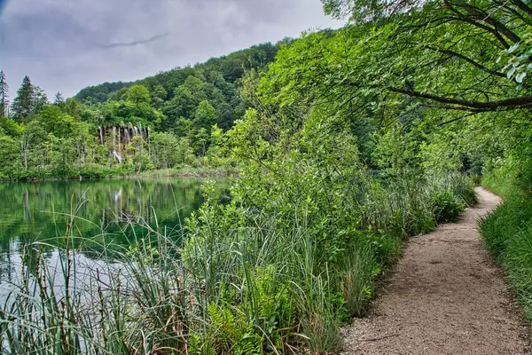 緑豊かな木々に囲まれた湖畔の細い道 — ストック写真