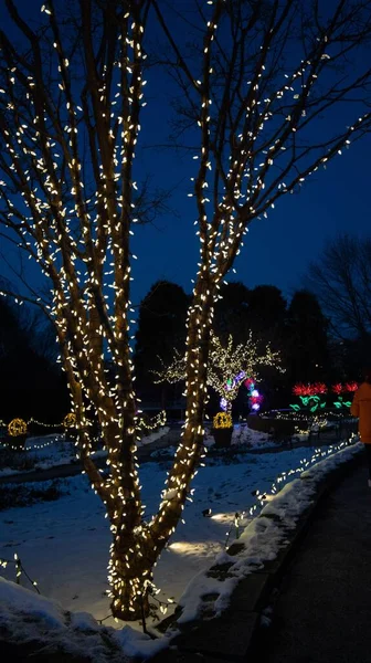 Tiro Vertical Luzes Natal Decorações Enroladas Torno Árvores — Fotografia de Stock