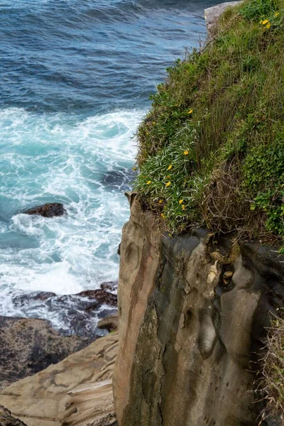 青い海に対して緑で覆われた岩の崖の高角度ショット — ストック写真