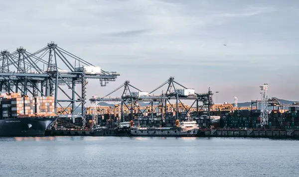 Vista Del Porto Con Portacontainer — Foto Stock