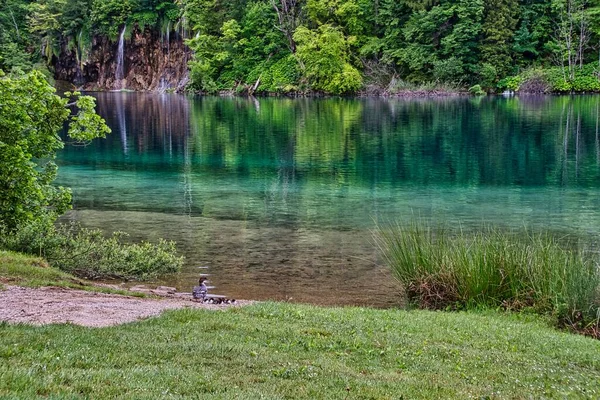 Hisnande Utsikt Över Ett Vattenfall Plitvicesjöarnas Nationalpark Kroatien — Stockfoto