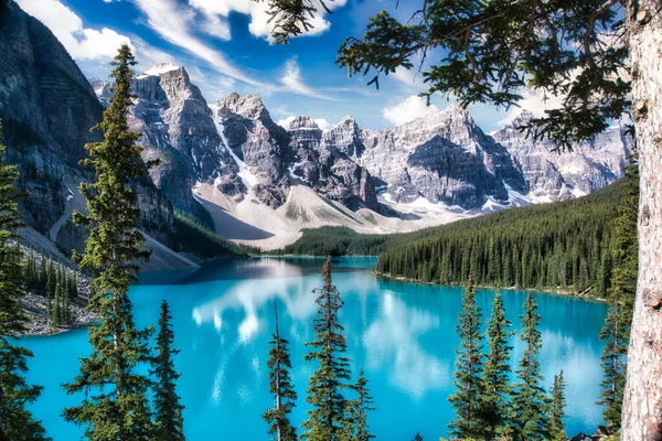 Lago Cênico Floresta Com Montanhas Nevadas Fundo — Fotografia de Stock