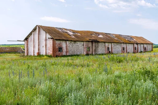 Old Dilapidated Agricultural Building Brick Farm Cattle Green Meadow Blue — Stock Photo, Image