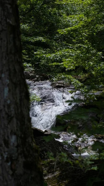 Disparo Vertical Del Río Kent Falls State Park Connecticut Estados —  Fotos de Stock