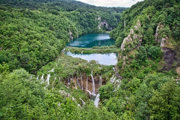 Een Luchtfoto Van Het Meer Weelderig Groen Van Nationaal Park — Stockfoto