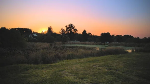 Horizontale Ansicht Des Sanften Sonnenuntergangs Auf Einer Wiese Mit Baumsilhouetten — Stockfoto