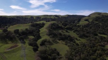 Bir ormanın en üst görüntüsü