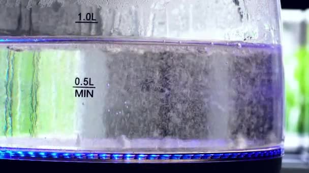 Hervidor Eléctrico Transparente Con Agua Hirviendo Interior Retroiluminación Neón Azul — Vídeo de stock