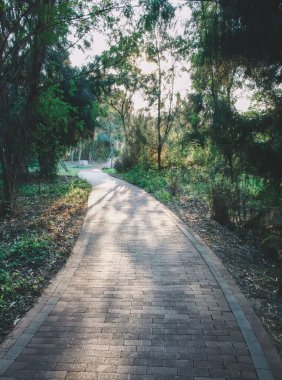 Yeşil bitki örtüsüyle çevrili parktaki boş patikanın dikey görüntüsü..