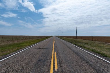 A narrow road leading to the beautiful forest on a sunny day
