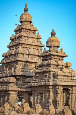 Mahabalipuram Hindistan 'daki Shore Temple' ın dikey görüntüsü. Arka planda mavi gökyüzü var.