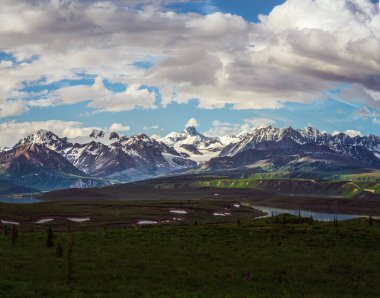 Arkasında bulutlu mavi gökyüzü olan karlı dağlarla çevrili güzel bir çim tarlası manzarası.