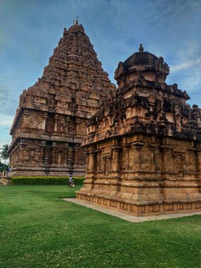 Mahabalipuram Hindistan 'daki Shore Temple' ın dikey görüntüsü çimenli ve mavi gökyüzü