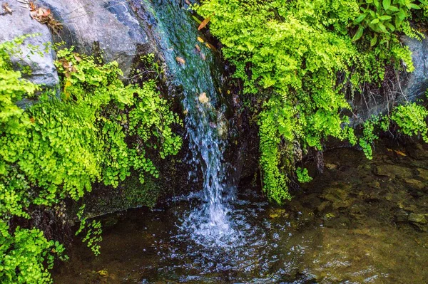 Nahaufnahme Eines Wasserfalls Der Die Mit Grün Bedeckten Felsen Hinunterfließt — Stockfoto