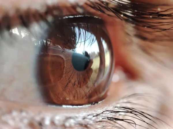 Closeup Beautiful Brown Human Eye — Stock Photo, Image