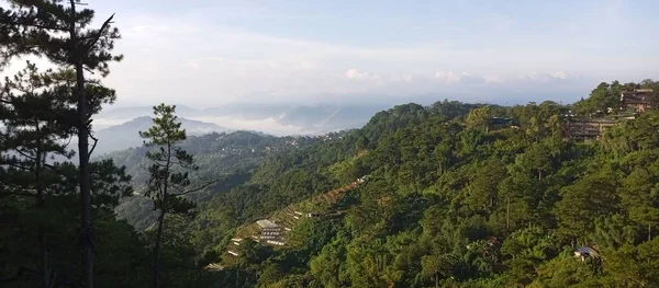 Paysage Une Forêt Des Maisons Sur Les Collines Par Une — Photo