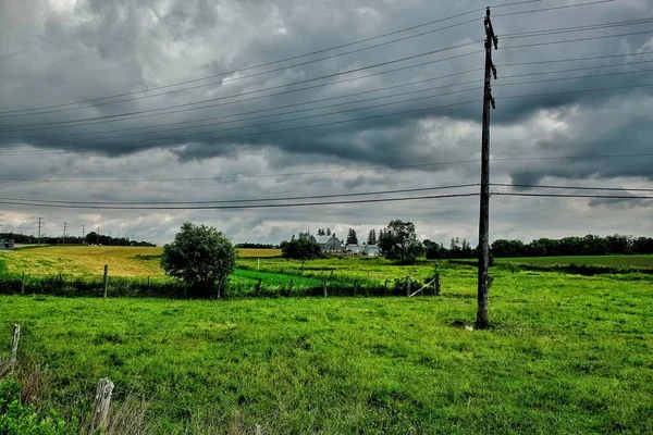 Вид Электрический Столб Зеленом Поле Облачный День — стоковое фото