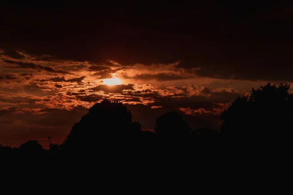 Una Vista Ángulo Bajo Hermosos Árboles Durante Puesta Del Sol — Foto de Stock