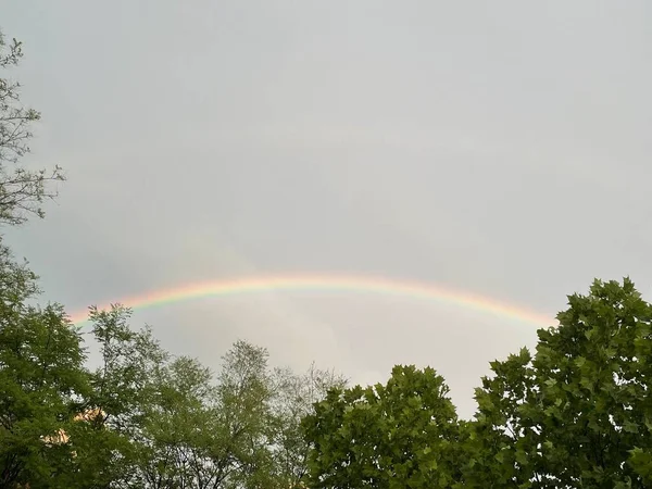 Ein Tiefflug Eines Regenbogens Über Einem Wald — Stockfoto