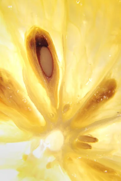 Vertical Macro Shot Lemon Juice Vesicles Seeds — Stock Photo, Image